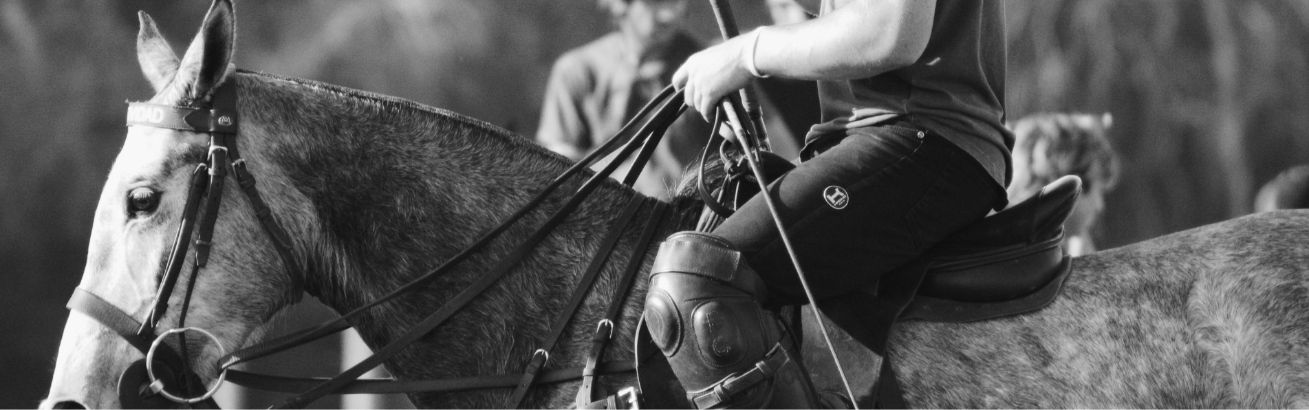 Polo Practice Trousers